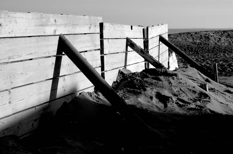 DSC_0060b