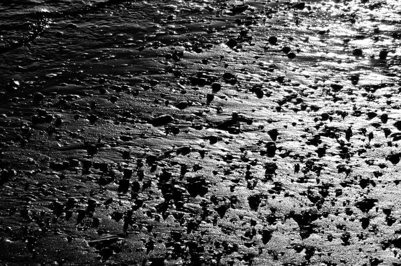 DSC_0106b