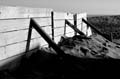 DSC_0060b