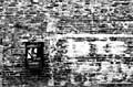 DSC_0111mod
