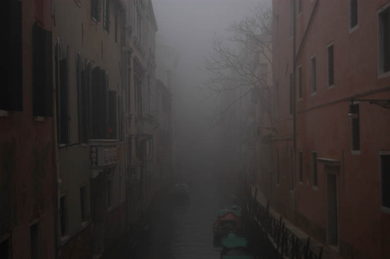 DSC_0081