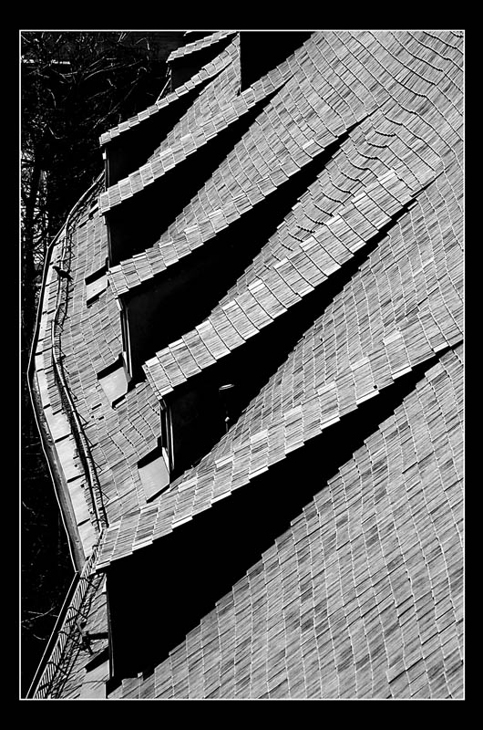 DSC_0060mod1