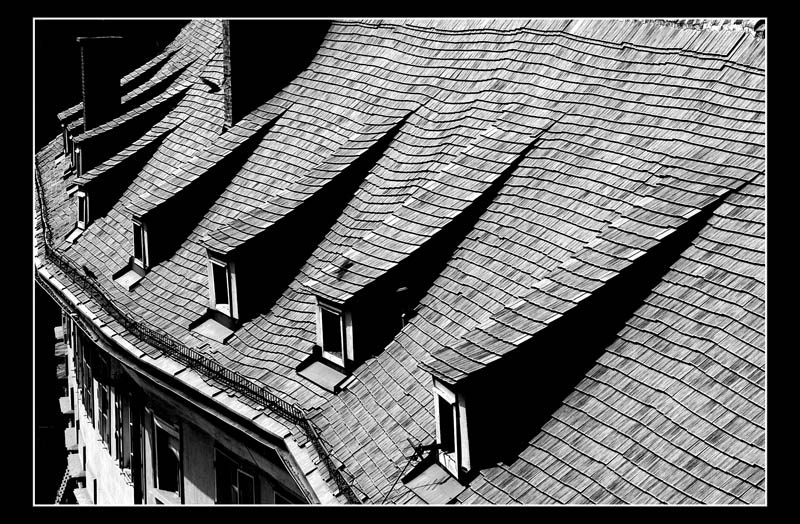 DSC_0062mod01