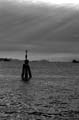 DSC_0101-eff