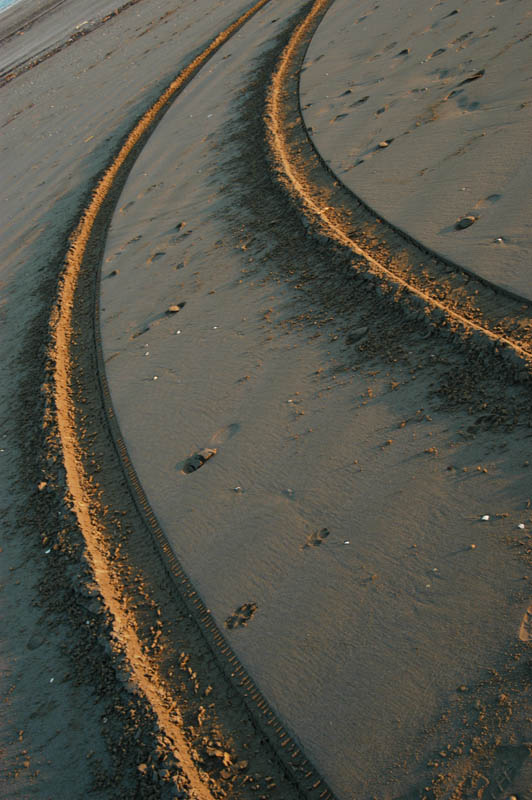 DSC_0011