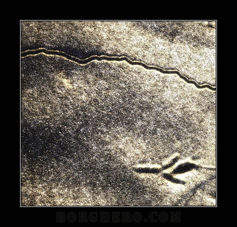 DSC_0028mod02