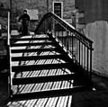 DSC_0043mod01