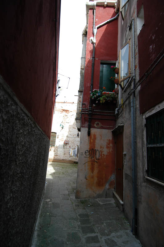 DSC_0059
