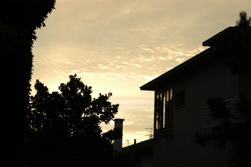 DSC_0171