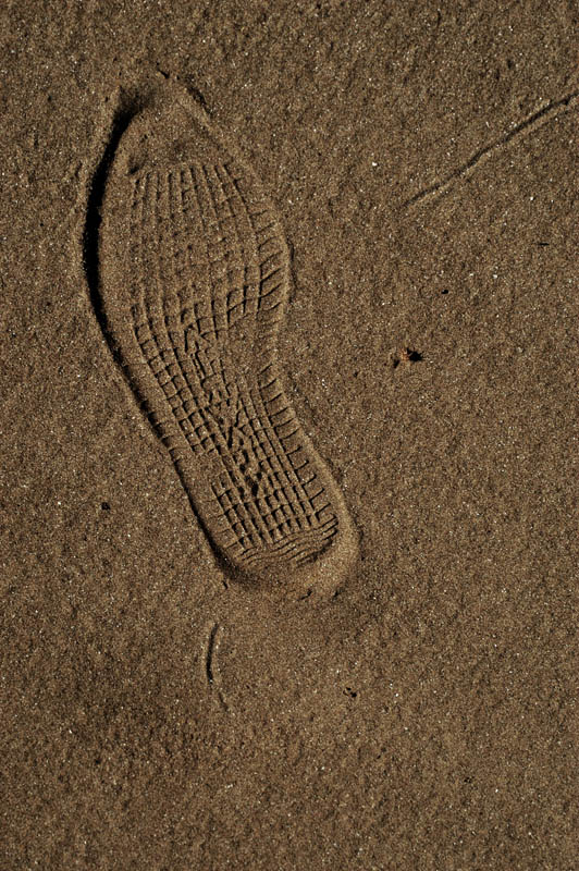 DSC_0006