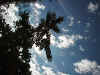 sky2.JPG (192055 byte)